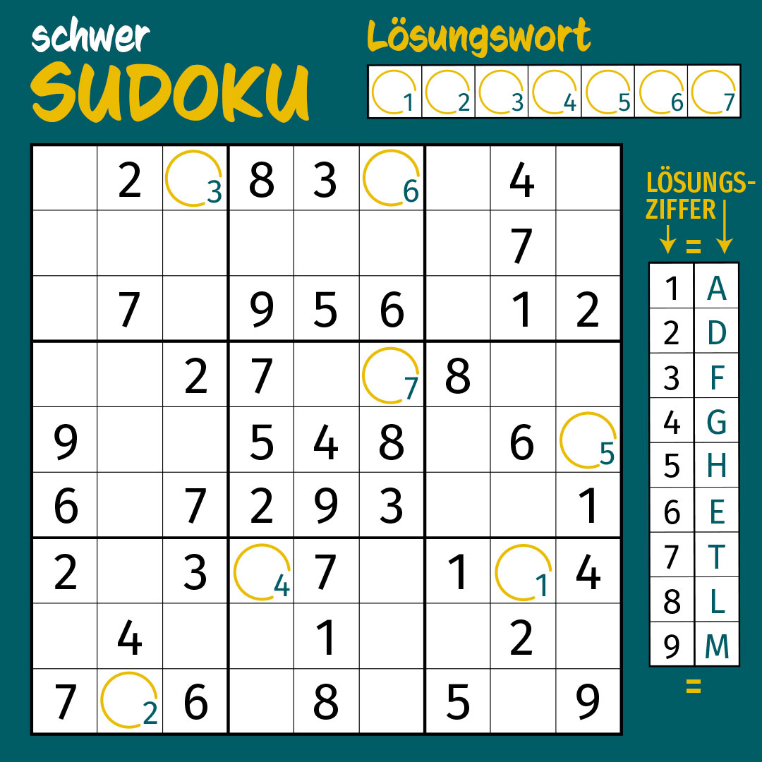 ehrlestudio Sudoku schwer
