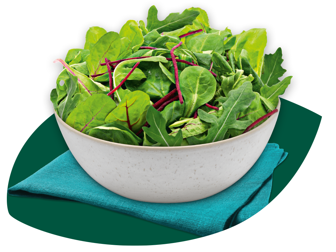 Schüssel mit frischem Blattsalat im Premium-Foodshot der neuen Bonduelle-Verpackungslinie.